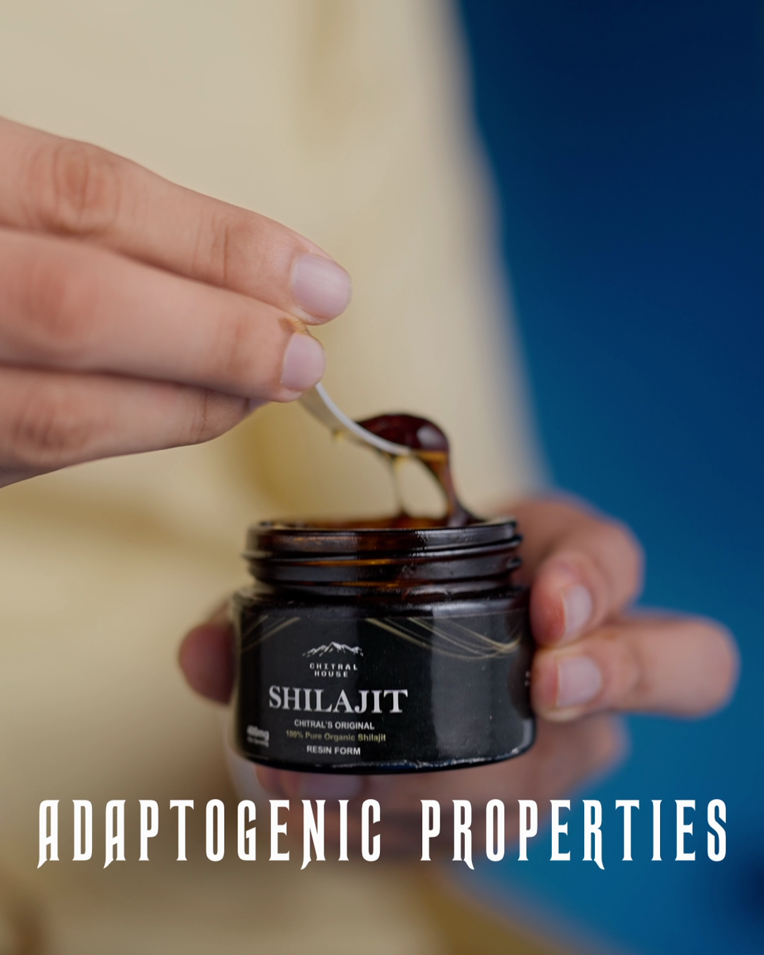 Shilajit 60g (3 Months Course)